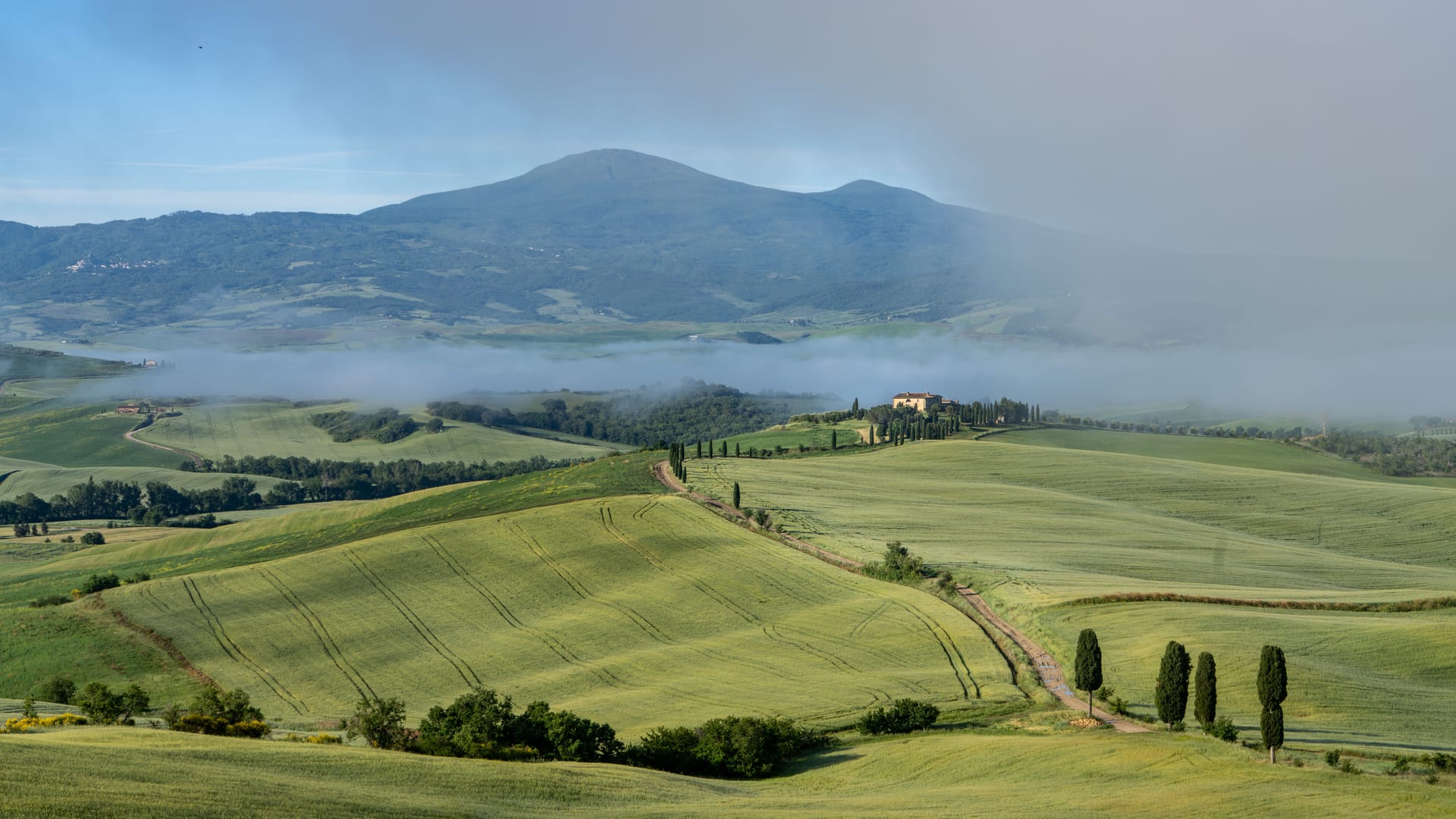 Strada panoramica tra le colline della Valdichiana con cipressi e un borgo in lontananza, punto di partenza per le gite da Cortona