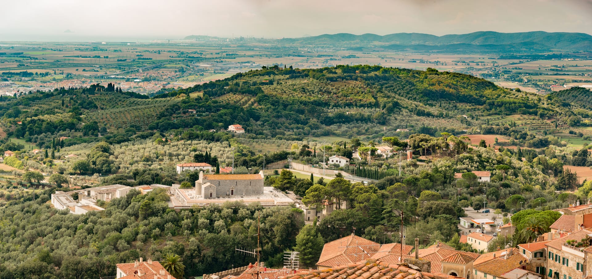 Le colline di Cortona con vigneti e oliveti che digradano verso la Valdichiana al tramonto