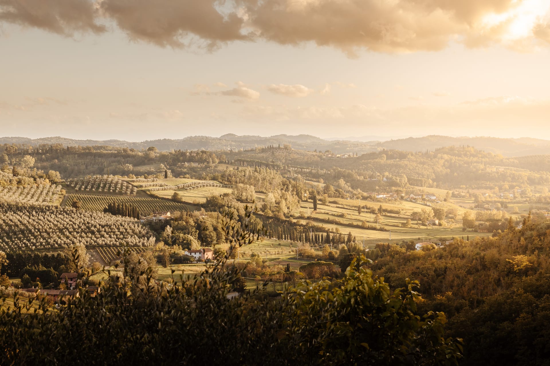 Antico sentiero di pietra che sale tra gli olivi verso il borgo collinare di Cortona alla luce dorata del mattino