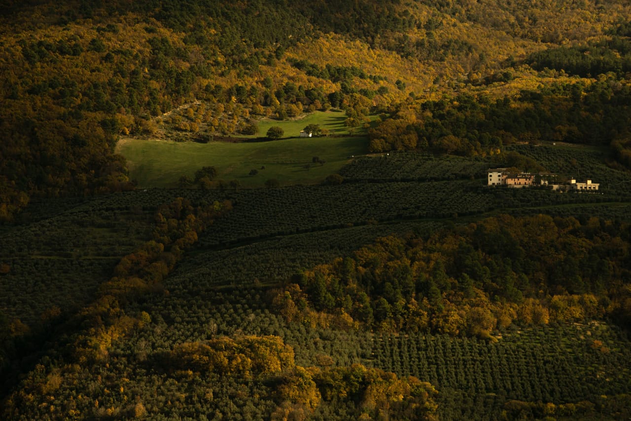Strada collinare che sale verso Cortona tra cipressi e uliveti della Valdichiana