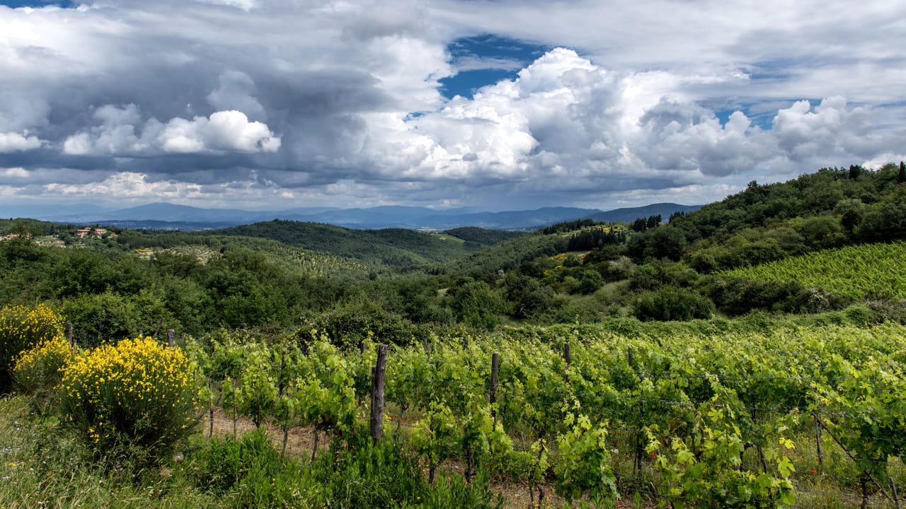 The countryside around Cortona in spring, with green vineyards and a changeable sky