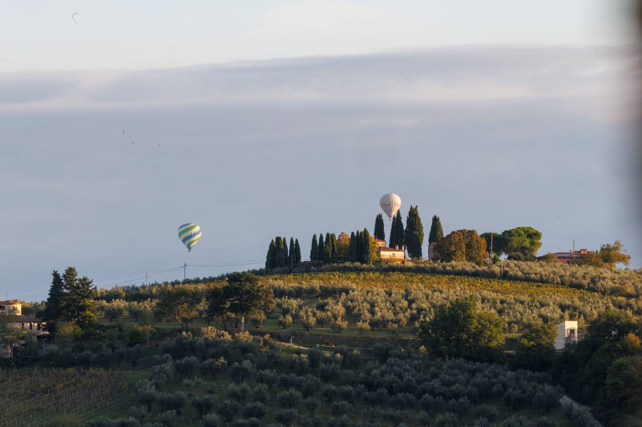 Vigneti e oliveti sulle colline cortonesi che danno vino e olio extravergine